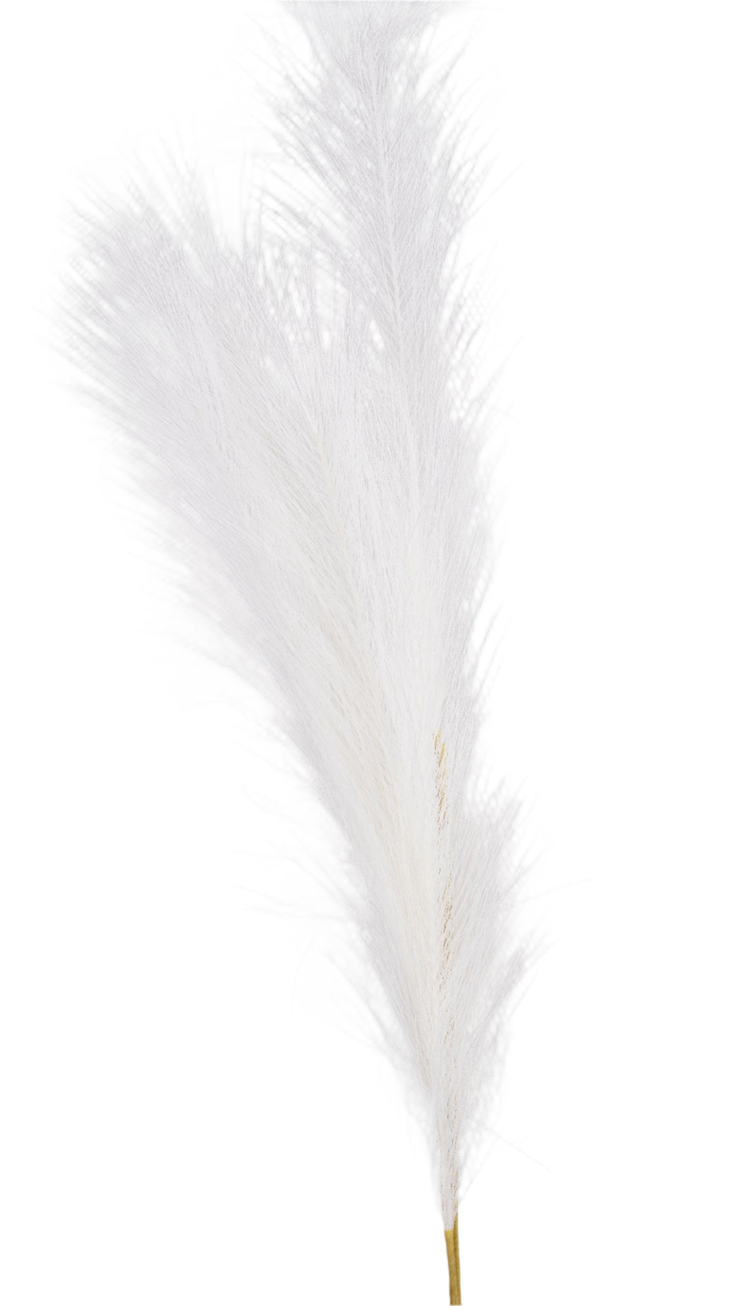 Pampas Stem Artificial Plant