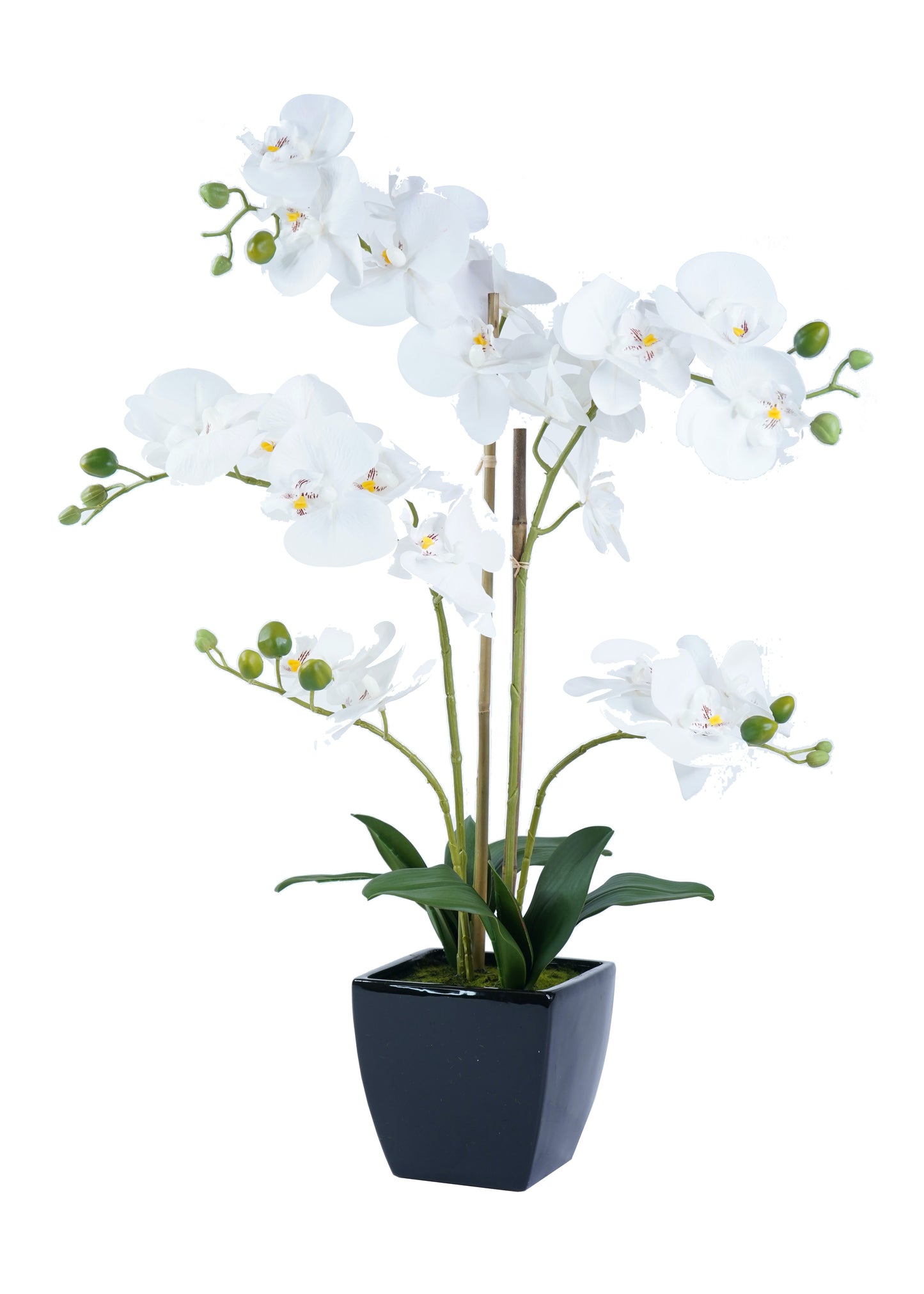 Orchid Arrangement Decor - Expo Home Decor