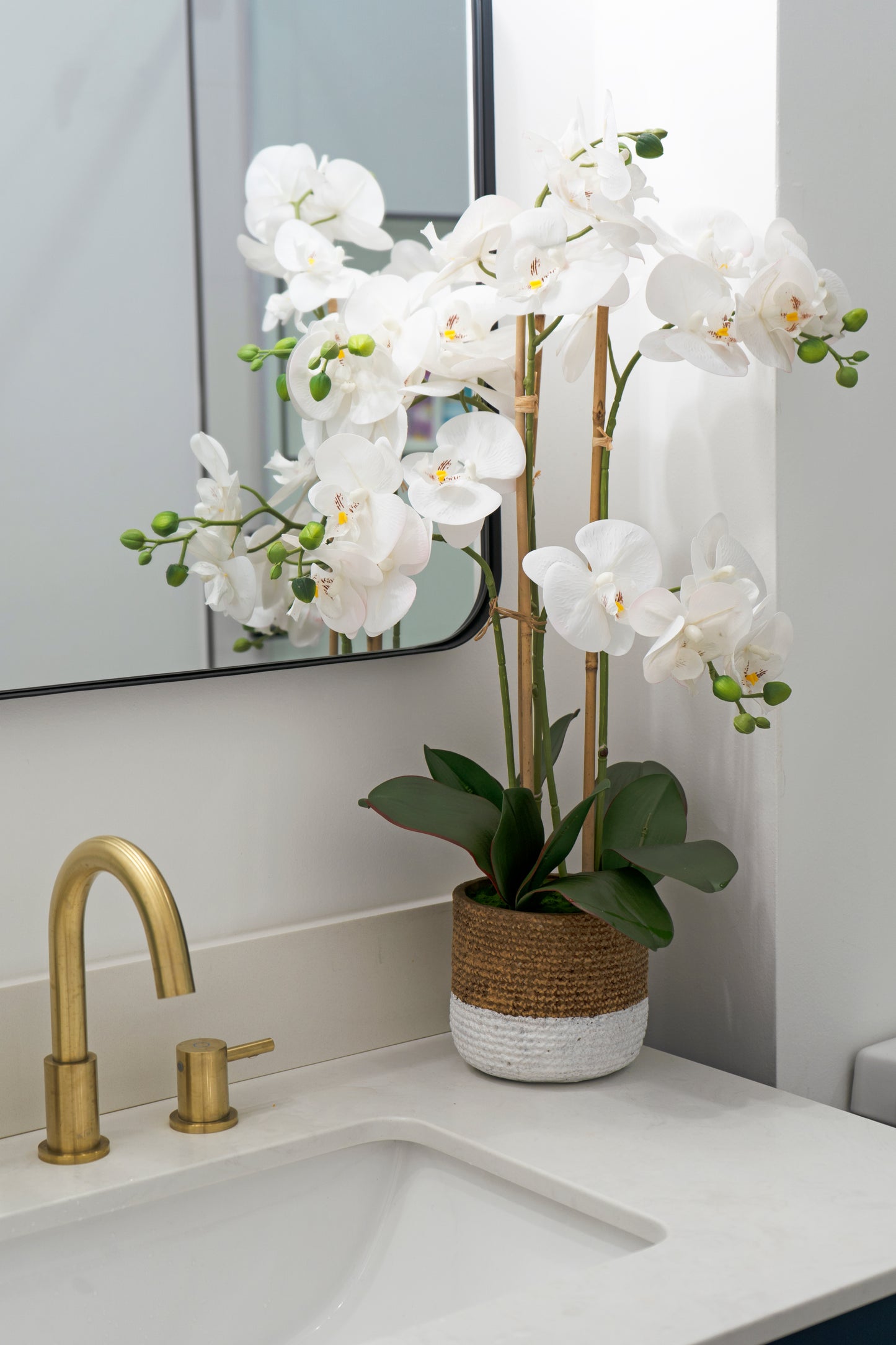 Orchid Arrangement Decor - Expo Home Decor