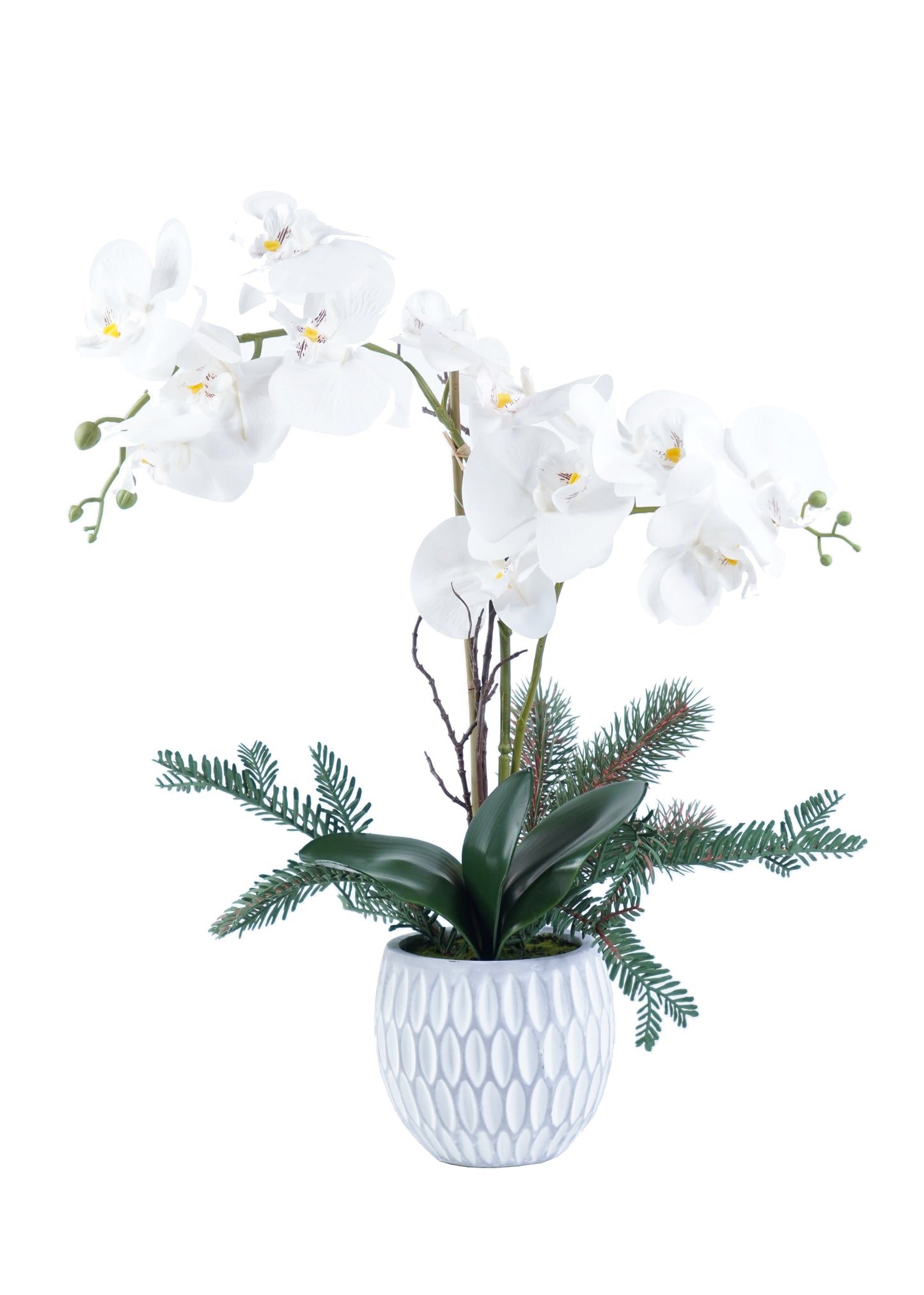 Orchid Arrangement Decor - Expo Home Decor