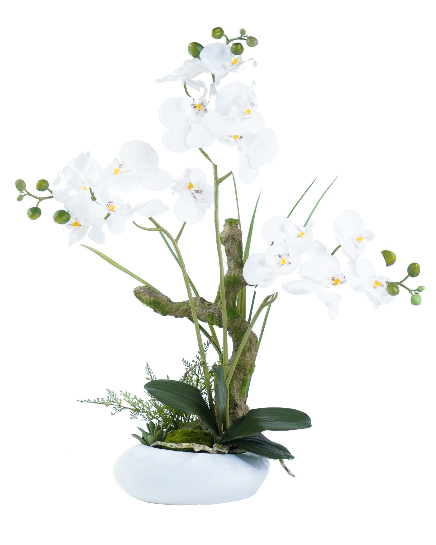 Orchid Arrangement Decor - Expo Home Decor