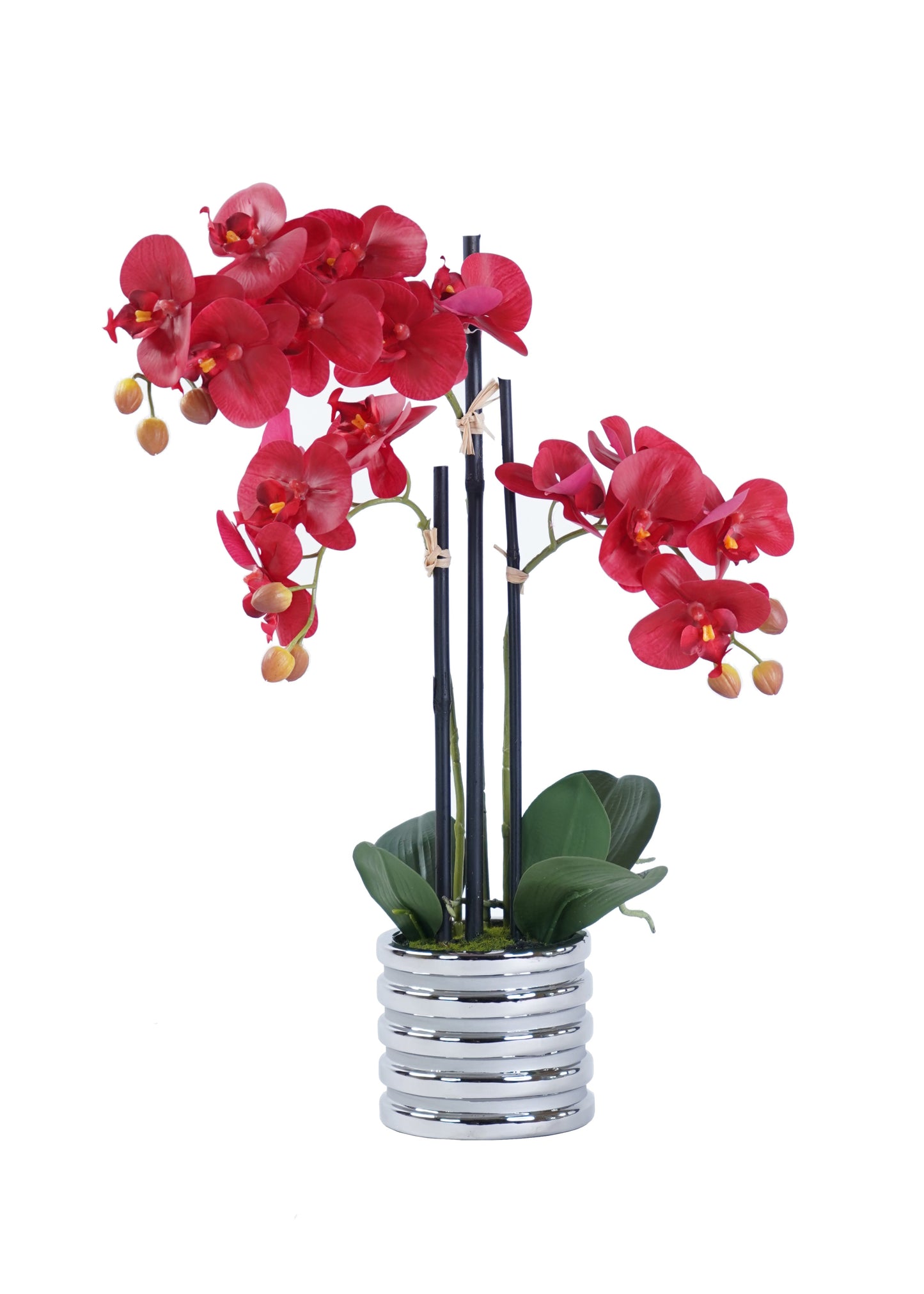 Orchid Arrangement Decor - Expo Home Decor
