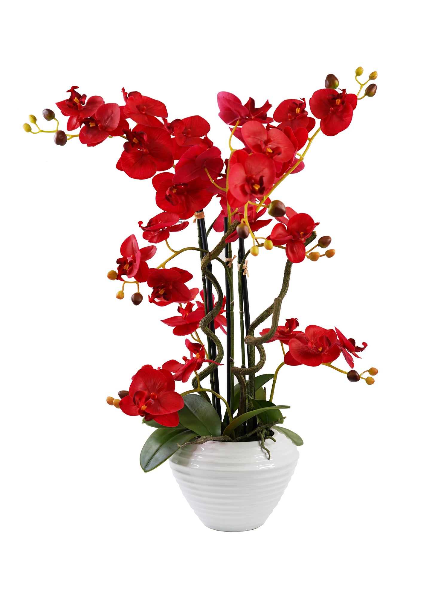 Orchid Arrangement Decor - Expo Home Decor