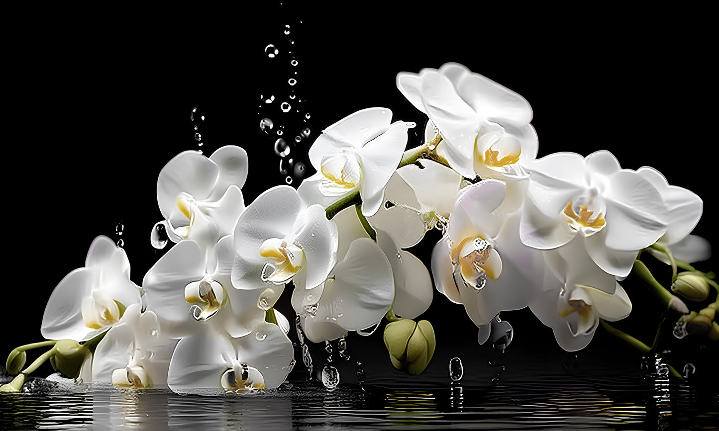 Waterdrop Orchid 60"x36"