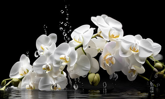 Waterdrop Orchid 60"x36"