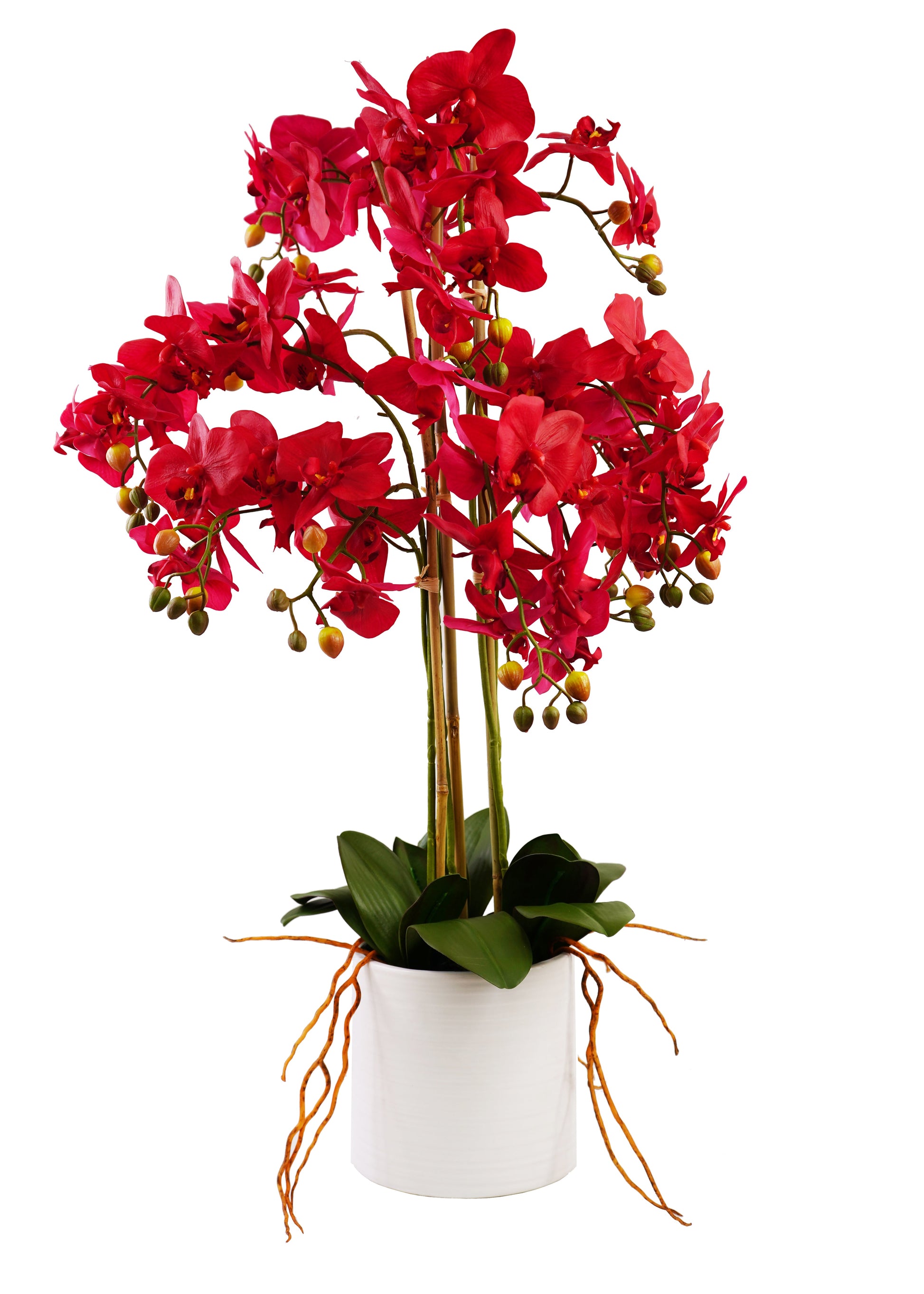 Artificial Orchid Arrangement - Expo Home Decor