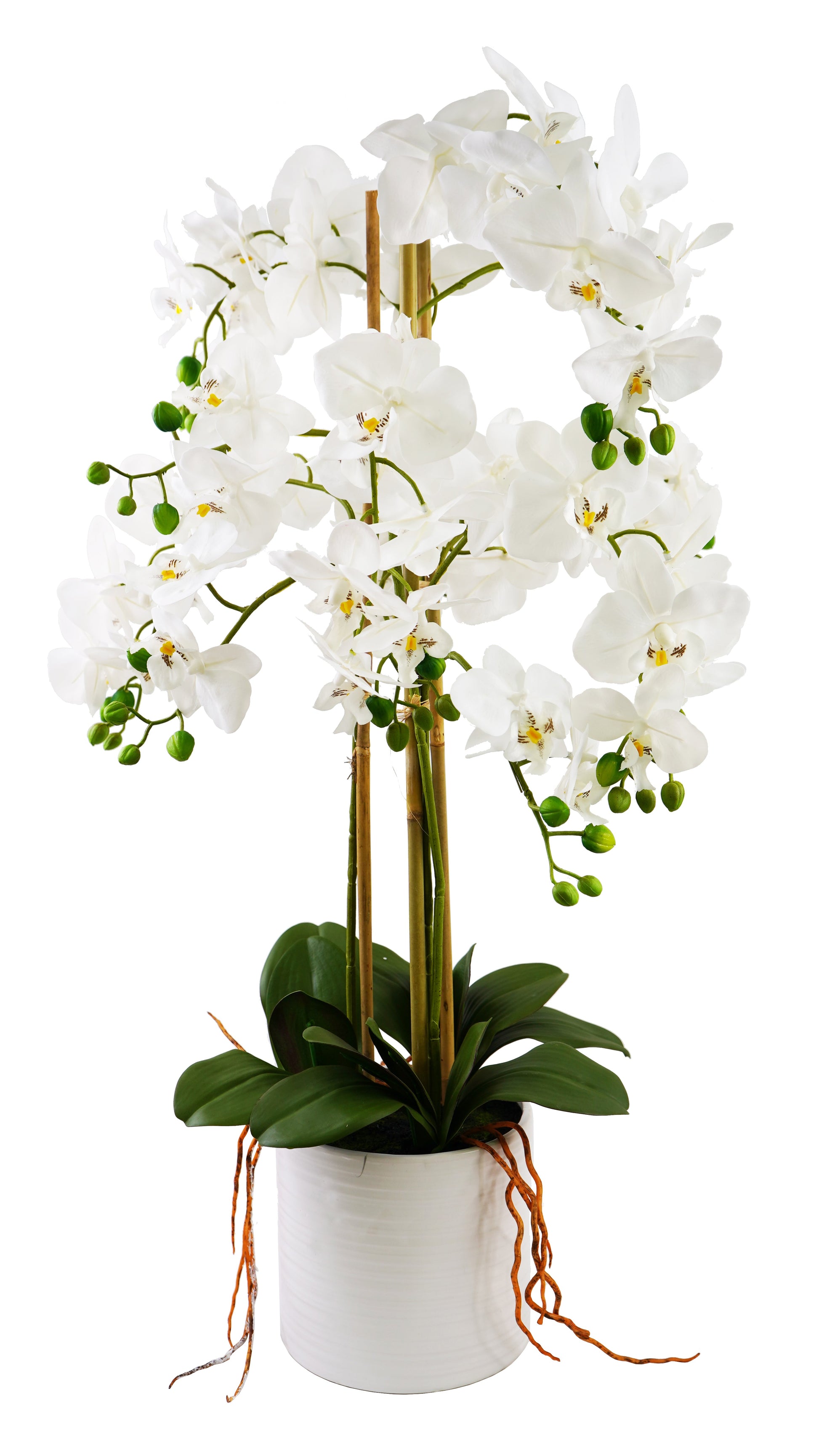 Artificial Orchid Arrangement - Expo Home Decor